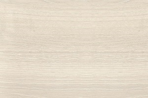 Кабинет руководителя Zion